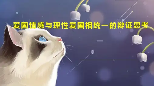 爱国情感与理性爱国相统一的辩证思考