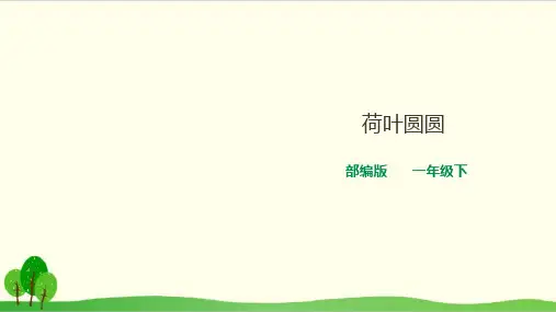 部编教材一年级下册语文《荷叶圆圆》课堂课件2
