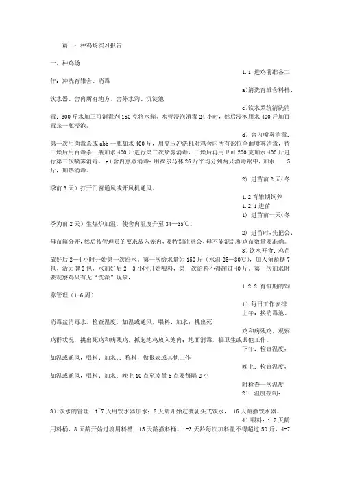 鸡场实习报告