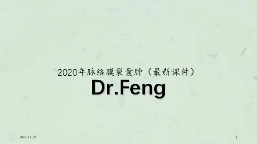 2020年脉络膜裂囊肿(最新课件)