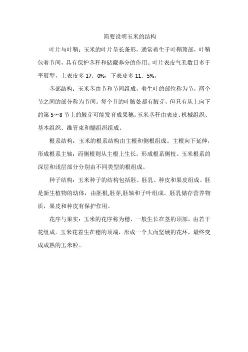 简要说明玉米的结构