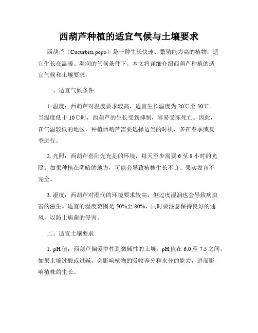 西葫芦种植的适宜气候与土壤要求