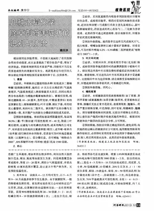 几种水稻化学除草剂药害症状的识别与防治