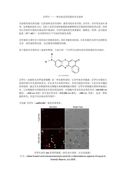 尼罗红——一种比较实用的脂质荧光染料