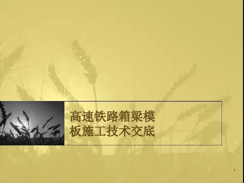 高速铁路箱梁模板技术交底ppt课件