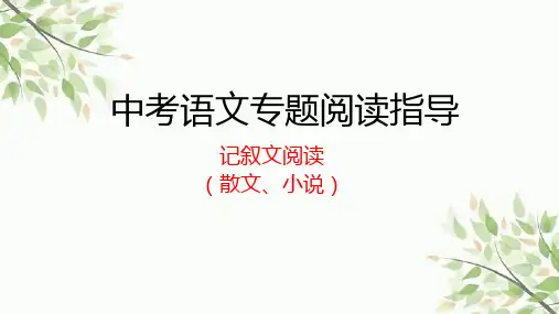 2023年中考语文二轮复习记叙文阅读(散文、小说)课件(共20张ppt)  
