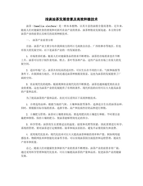 浅谈油茶发展前景及高效种植技术