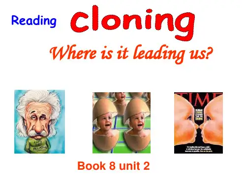 人教课标版高中英语选修8Unit2Reading上课课件(19张)