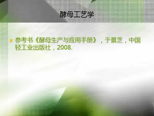 酵母的历史
