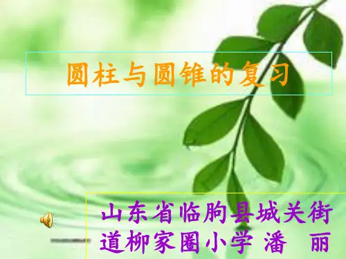 圆柱与圆锥复习