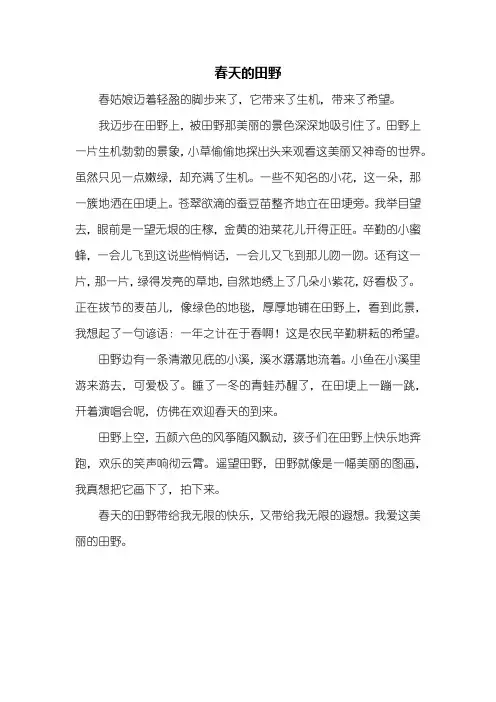 写景作文：春天的田野作文500字