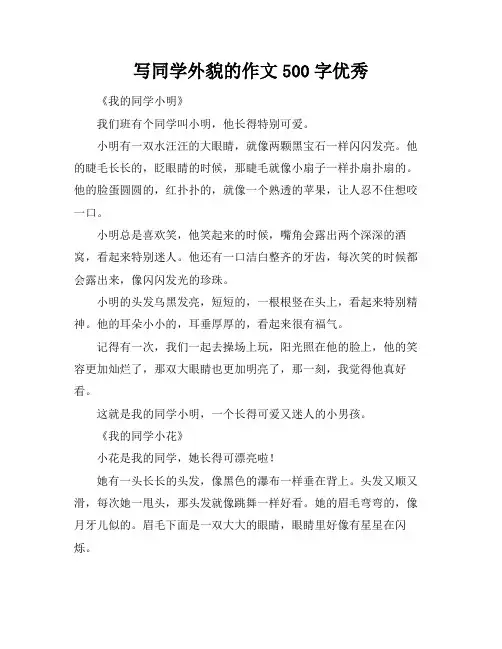 写同学外貌的作文500字优秀