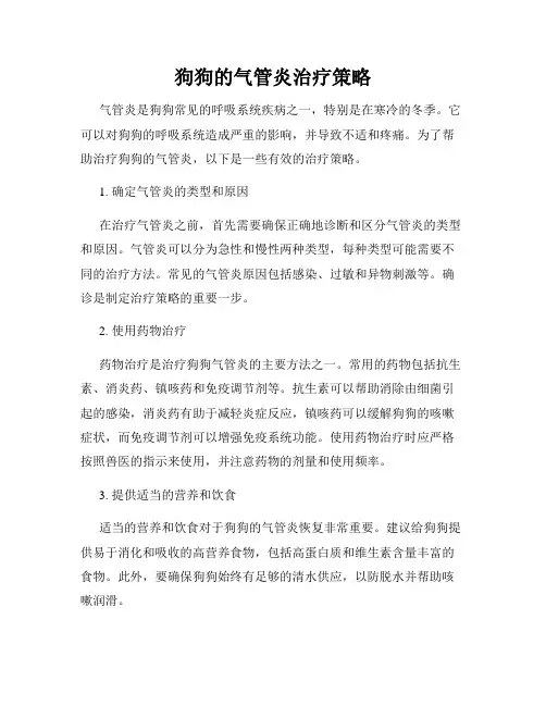 狗狗的气管炎治疗策略