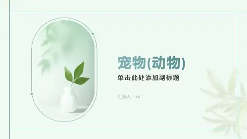 雅思口语话题 宠物(动物)