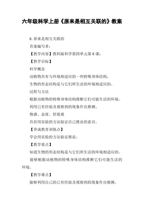 六年级科学上册《原来是相互关联的》教案【DOC范文整理】
