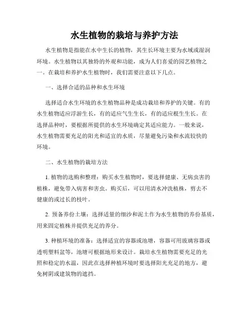 水生植物的栽培与养护方法