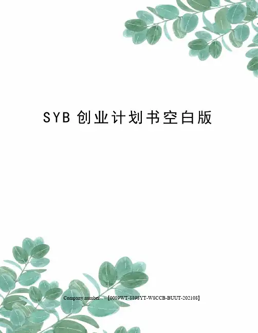 SYB创业计划书空白版