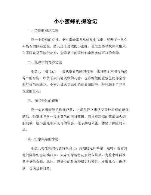 小小蜜蜂的探险记