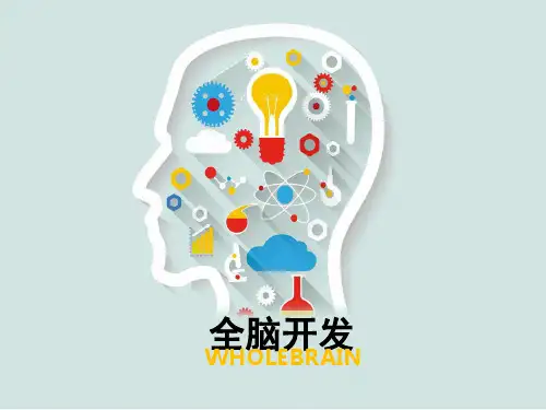 全脑开发(完)(课堂PPT)