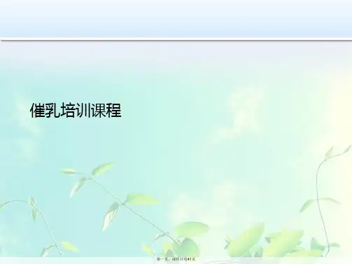 催乳培训课程课件