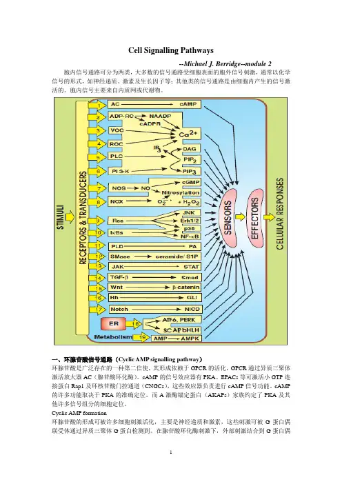 细胞信号通路