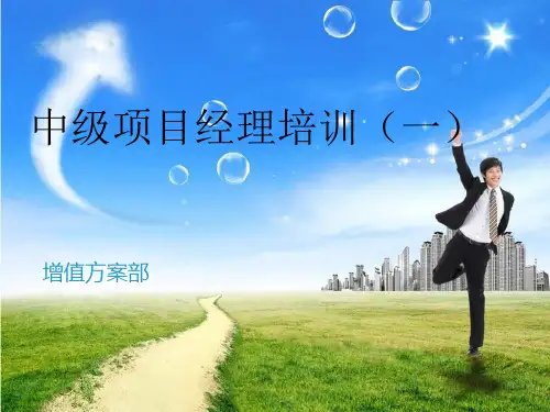 系统集成项目管理工程师考试(一)PPT课件