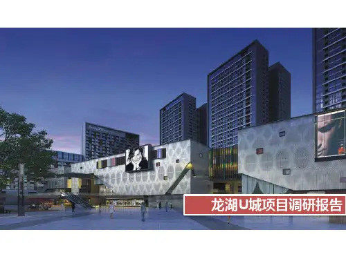 重庆龙湖U城项目调研报告(38页)