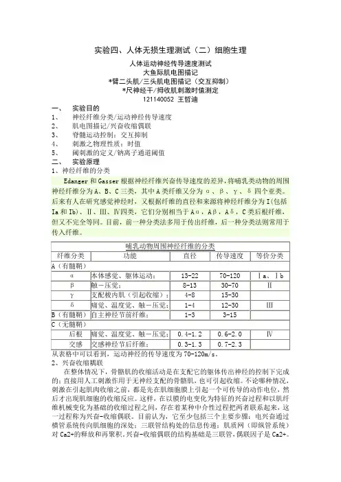 人体运动神经传导速度测试大鱼际肌电图描记解读