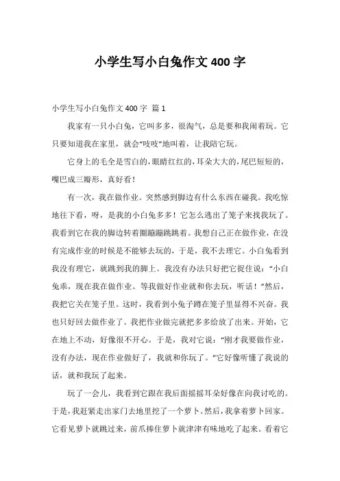 小学生写小白兔作文400字_4
