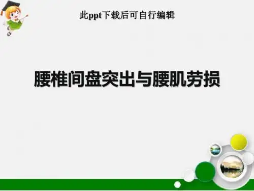 腰椎间盘突出与腰肌劳损ppt课件