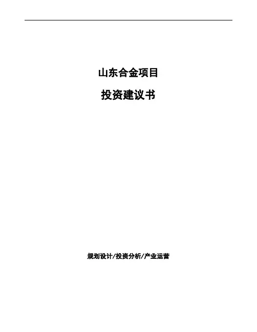山东合金项目投资建议书