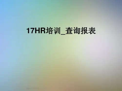 17HR培训-查询报表