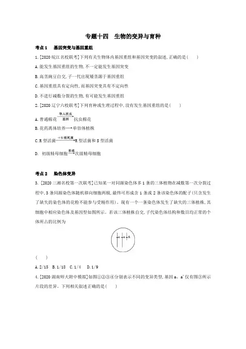 (全国版)2021高考生物一轮复习第六单元变异、育种与进化专题十四生物的变异与育种精练(含解析)
