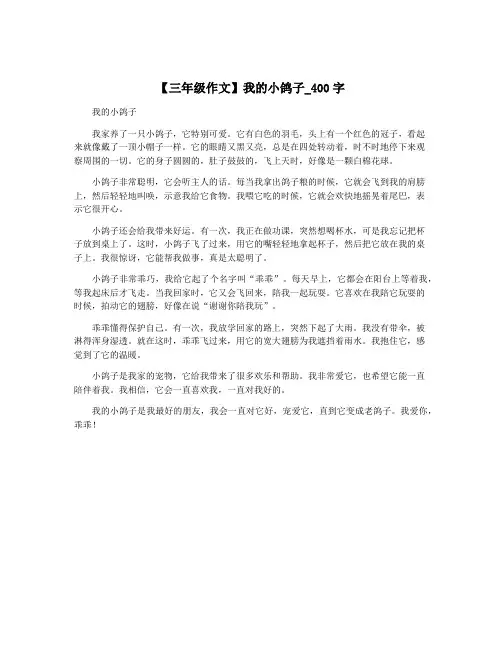 【三年级作文】我的小鸽子_400字