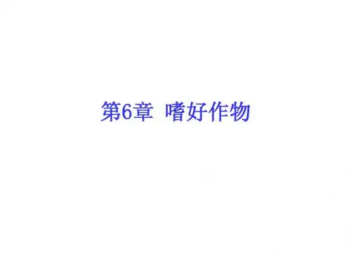 经济作物学-6