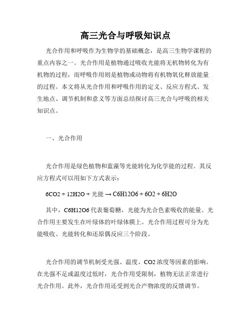高三光合与呼吸知识点