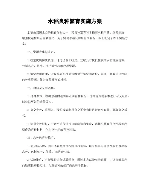 水稻良种繁育实施方案