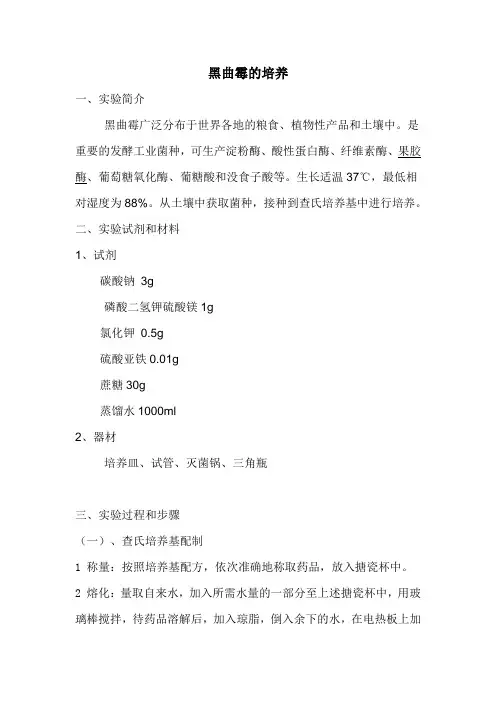 1 冯东阳 黑曲霉的培养