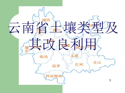 云南省土壤类型及-文档资料