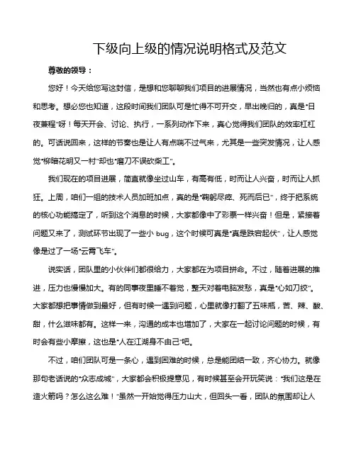 下级向上级的情况说明格式及范文