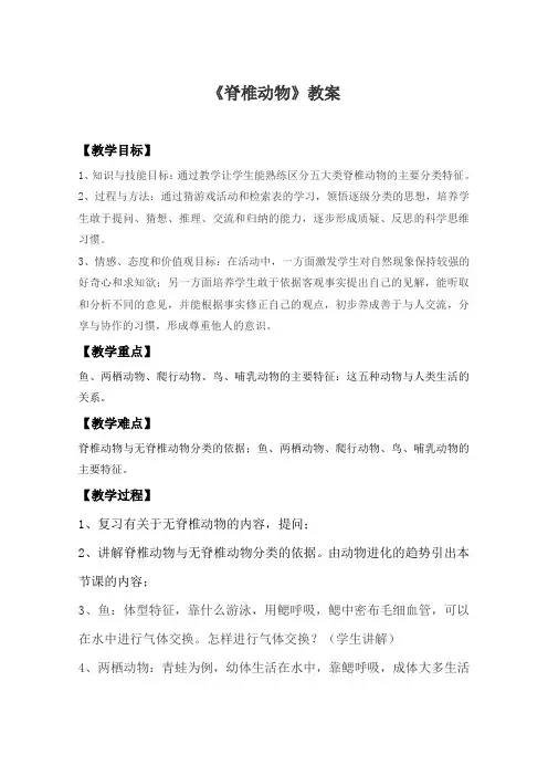 脊椎动物教案