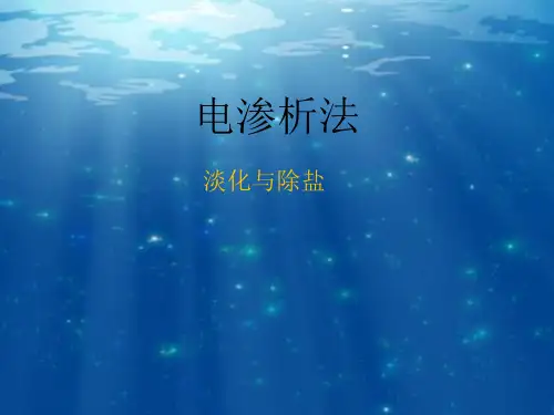 电渗析法  .pptx