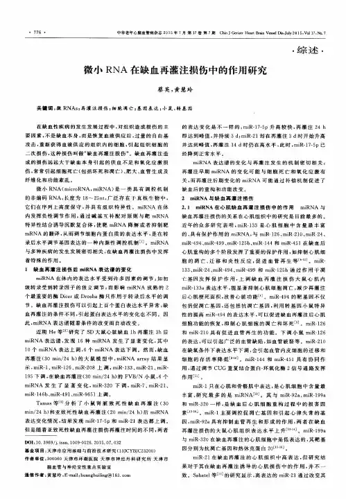 微小RNA在缺血再灌注损伤中的作用研究