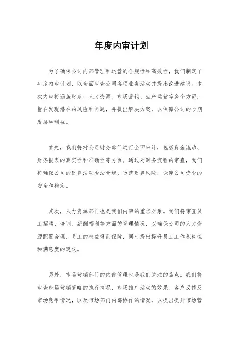 年度内审计划
