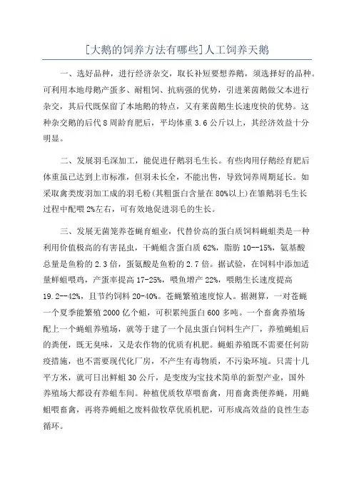[大鹅的饲养方法有哪些]人工饲养天鹅