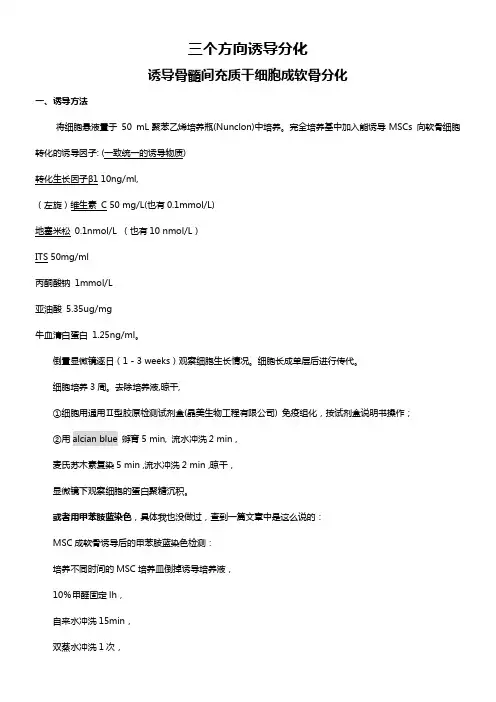 干细胞成骨、成脂、成软骨诱导分化及检测