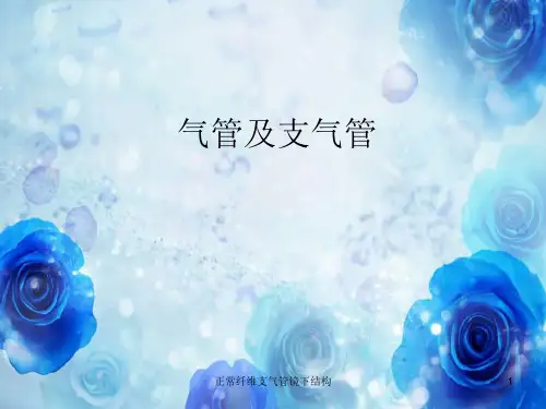 正常纤维支气管镜下结构ppt课件