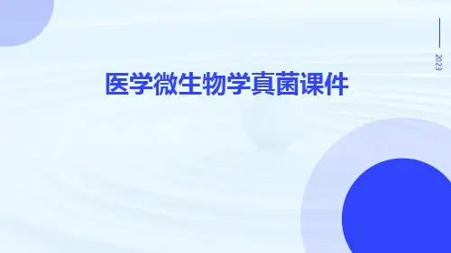 医学微生物学真菌课件