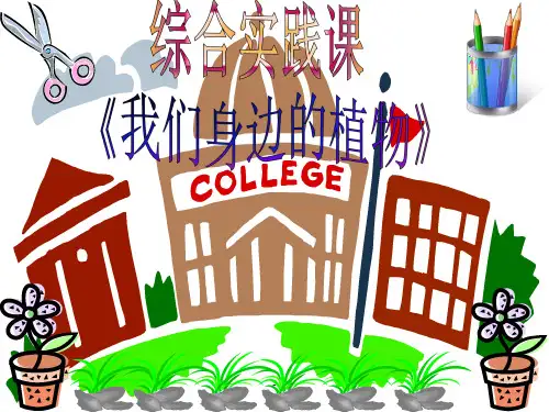综合实践——我们身边的植物ppt课件