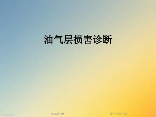 油气层损害诊断